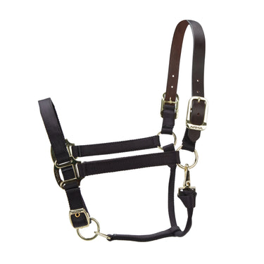 Shires ARMA Premium Adjustable FieldSafe Headcollar Black| Online For Equine