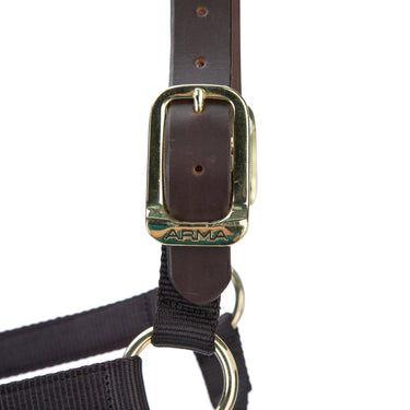 Shires ARMA Premium Adjustable FieldSafe Headcollar Black| Online For Equine