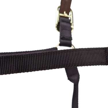 Shires ARMA Premium Adjustable FieldSafe Headcollar Black| Online For Equine