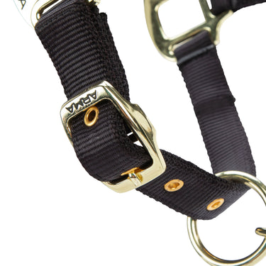 Shires ARMA Premium Adjustable FieldSafe Headcollar Black| Online For Equine