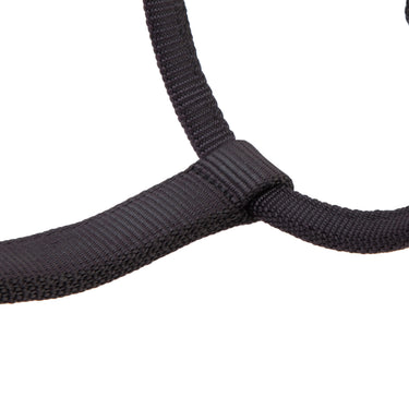 Shires ARMA Premium Adjustable FieldSafe Headcollar Black| Online For Equine
