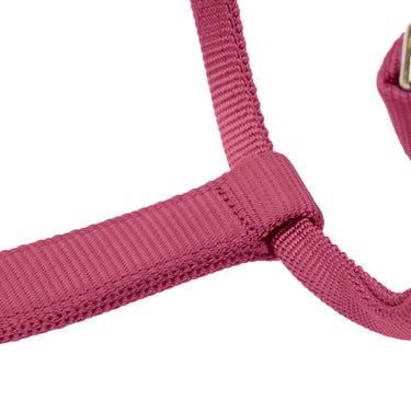 Shires ARMA Premium Adjustable FieldSafe Headcollar Burgundy| Online For Equine