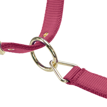 Shires ARMA Premium Adjustable FieldSafe Headcollar Burgundy| Online For Equine