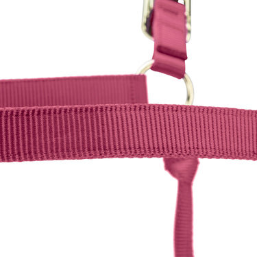 Shires ARMA Premium Adjustable FieldSafe Headcollar Burgundy| Online For Equine