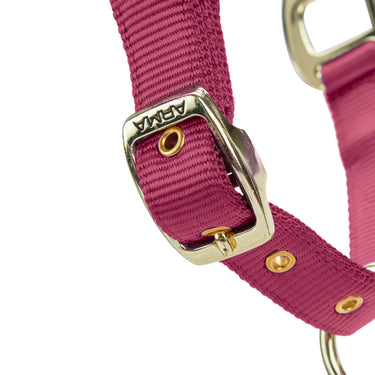 Shires ARMA Premium Adjustable FieldSafe Headcollar Burgundy| Online For Equine