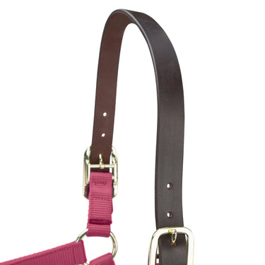 Shires ARMA Premium Adjustable FieldSafe Headcollar Burgundy| Online For Equine