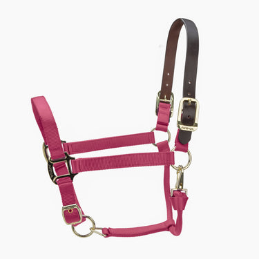 Shires ARMA Premium Adjustable FieldSafe Headcollar Burgundy| Online For Equine