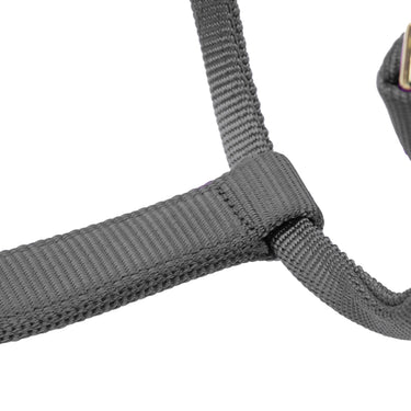 Shires ARMA Premium Adjustable FieldSafe Headcollar Grey| Online For Equine