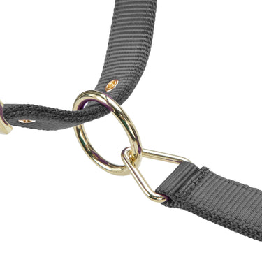 Shires ARMA Premium Adjustable FieldSafe Headcollar Grey| Online For Equine