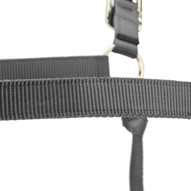 Shires ARMA Premium Adjustable FieldSafe Headcollar Grey| Online For Equine