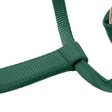 Shires ARMA Premium Adjustable FieldSafe Headcollar Hunter| Online For Equine