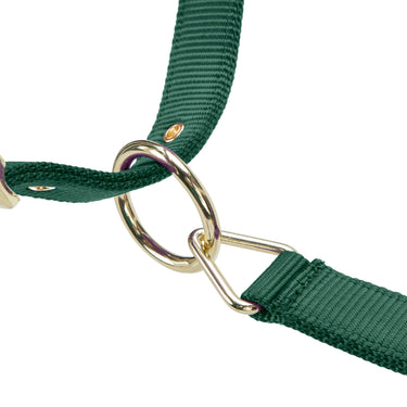 Shires ARMA Premium Adjustable FieldSafe Headcollar Hunter| Online For Equine