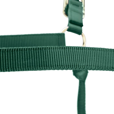 Shires ARMA Premium Adjustable FieldSafe Headcollar Hunter| Online For Equine