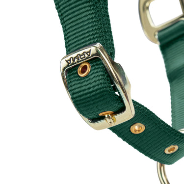 Shires ARMA Premium Adjustable FieldSafe Headcollar Hunter| Online For Equine