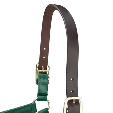 Shires ARMA Premium Adjustable FieldSafe Headcollar Hunter| Online For Equine