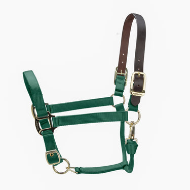 Shires ARMA Premium Adjustable FieldSafe Headcollar Hunter| Online For Equine
