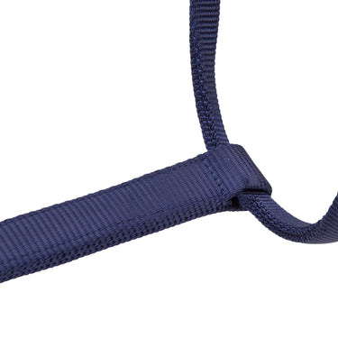 Shires ARMA Premium Adjustable FieldSafe Headcollar Navy| Online For Equine