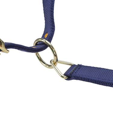 Shires ARMA Premium Adjustable FieldSafe Headcollar Navy| Online For Equine