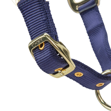 Shires ARMA Premium Adjustable FieldSafe Headcollar Navy| Online For Equine