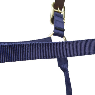 Shires ARMA Premium Adjustable FieldSafe Headcollar Navy| Online For Equine