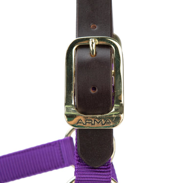 Shires ARMA Premium Adjustable FieldSafe Headcollar Purple| Online For Equine
