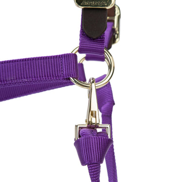 Shires ARMA Premium Adjustable FieldSafe Headcollar Purple| Online For Equine