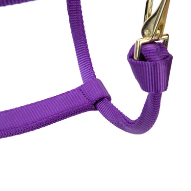 Shires ARMA Premium Adjustable FieldSafe Headcollar Purple| Online For Equine