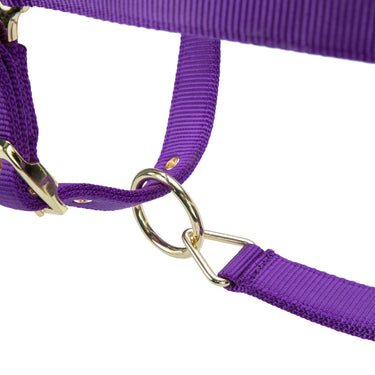 Shires ARMA Premium Adjustable FieldSafe Headcollar Purple| Online For Equine
