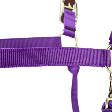 Shires ARMA Premium Adjustable FieldSafe Headcollar Purple| Online For Equine
