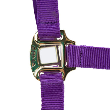 Shires ARMA Premium Adjustable FieldSafe Headcollar Purple| Online For Equine