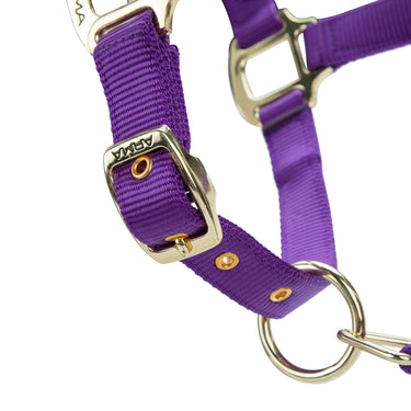 Shires ARMA Premium Adjustable FieldSafe Headcollar Purple| Online For Equine
