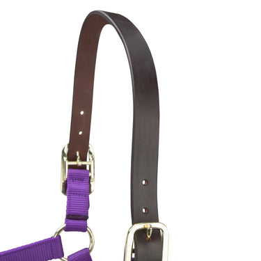 Shires ARMA Premium Adjustable FieldSafe Headcollar Purple| Online For Equine