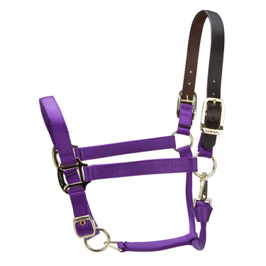 Shires ARMA Premium Adjustable FieldSafe Headcollar Purple| Online For Equine