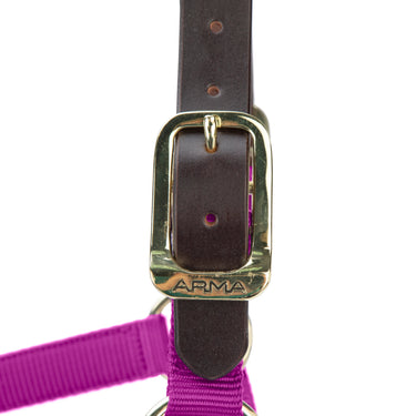 Shires ARMA Premium Adjustable FieldSafe Headcollar Raspberry| Online For Equine