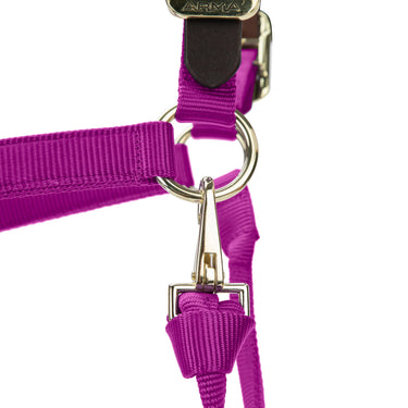 Shires ARMA Premium Adjustable FieldSafe Headcollar Raspberry| Online For Equine