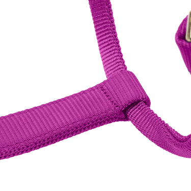 Shires ARMA Premium Adjustable FieldSafe Headcollar Raspberry| Online For Equine