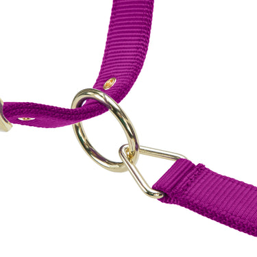 Shires ARMA Premium Adjustable FieldSafe Headcollar Raspberry| Online For Equine