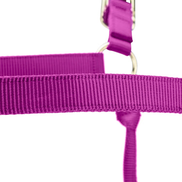Shires ARMA Premium Adjustable FieldSafe Headcollar Raspberry| Online For Equine