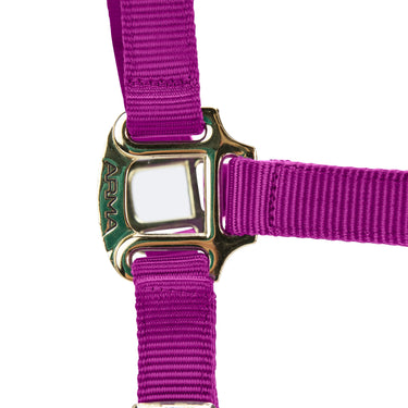 Shires ARMA Premium Adjustable FieldSafe Headcollar Raspberry| Online For Equine