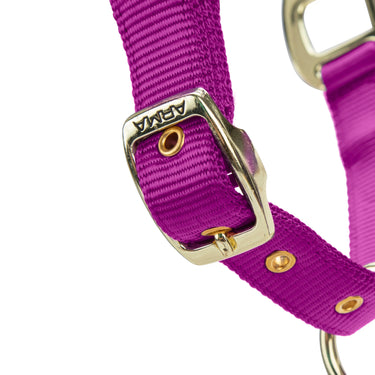 Shires ARMA Premium Adjustable FieldSafe Headcollar Raspberry| Online For Equine