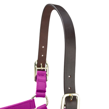 Shires ARMA Premium Adjustable FieldSafe Headcollar Raspberry| Online For Equine
