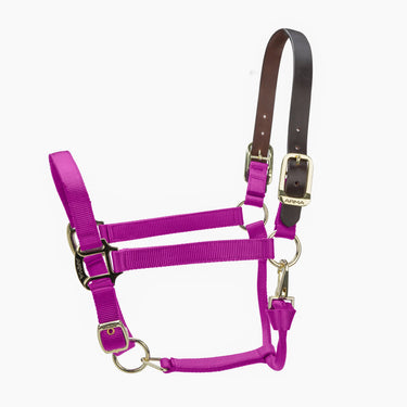 Shires ARMA Premium Adjustable FieldSafe Headcollar Raspberry| Online For Equine