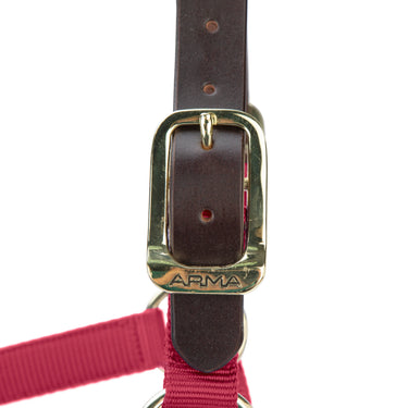Shires ARMA Premium Adjustable FieldSafe Headcollar Red| Online For Equine