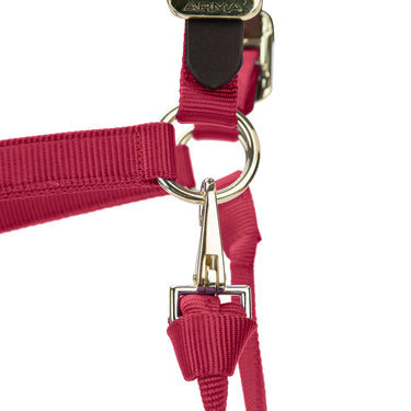 Shires ARMA Premium Adjustable FieldSafe Headcollar Red| Online For Equine