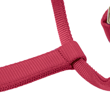 Shires ARMA Premium Adjustable FieldSafe Headcollar Red| Online For Equine