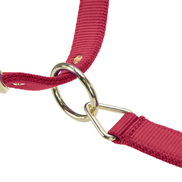 Shires ARMA Premium Adjustable FieldSafe Headcollar Red| Online For Equine