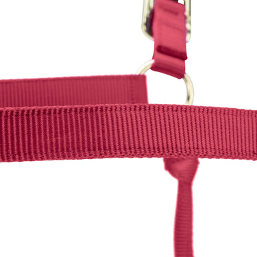 Shires ARMA Premium Adjustable FieldSafe Headcollar Red| Online For Equine