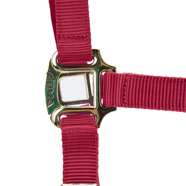Shires ARMA Premium Adjustable FieldSafe Headcollar Red| Online For Equine