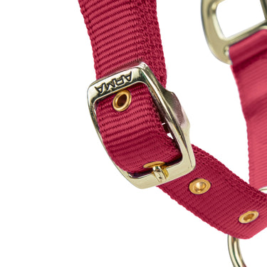 Shires ARMA Premium Adjustable FieldSafe Headcollar Red| Online For Equine
