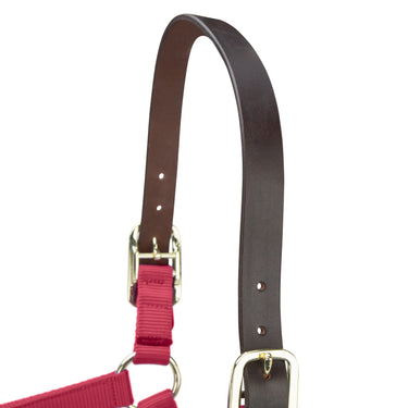 Shires ARMA Premium Adjustable FieldSafe Headcollar Red| Online For Equine